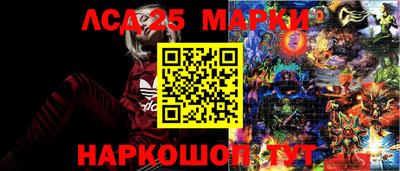 герыч Донецк